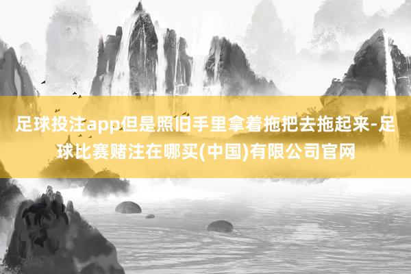 足球投注app但是照旧手里拿着拖把去拖起来-足球比赛赌注在哪买(中国)有限公司官网