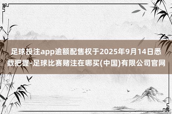 足球投注app逾额配售权于2025年9月14日悉数把握-足球比赛赌注在哪买(中国)有限公司官网