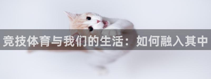 oety欧亿：竞技体育与我们的生活：如何融入其中