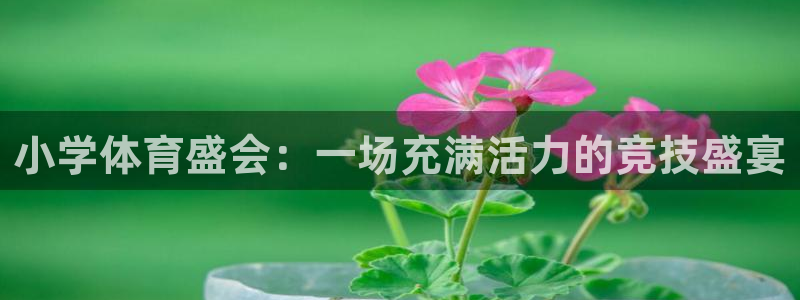 oety欧亿：小学体育盛会：一场充满活力的竞技盛宴