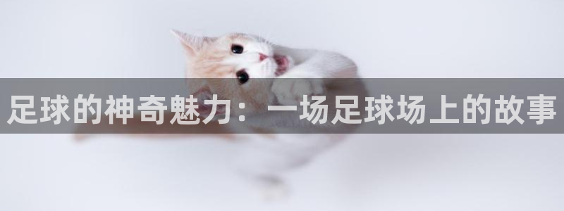 oety欧亿
