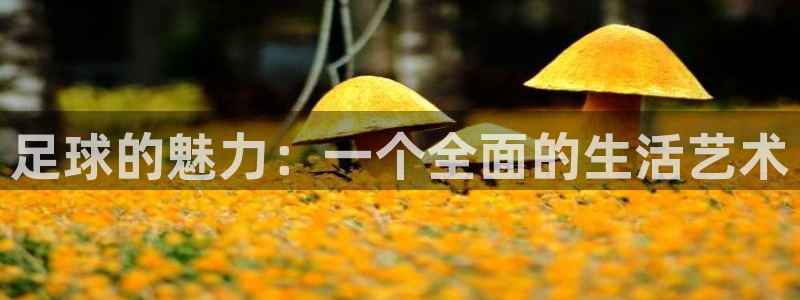 oety欧亿：足球的魅力：一个全面的生活艺术