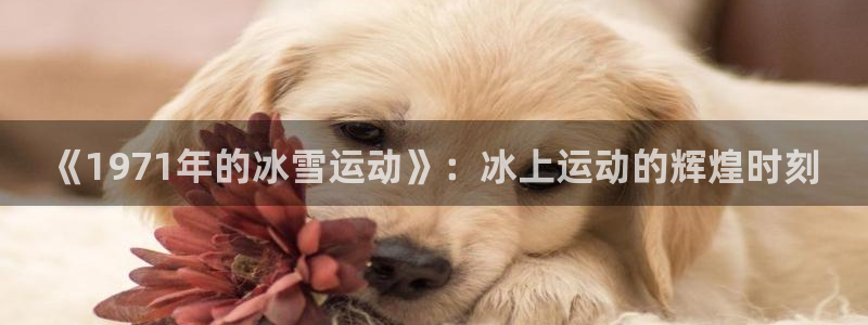 oety欧亿：《1971年的冰雪运动》：冰上运动的辉煌时刻