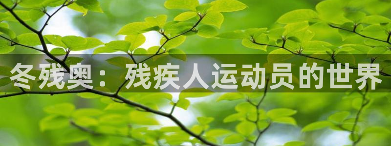 oety欧亿：冬残奥：残疾人运动员的世界