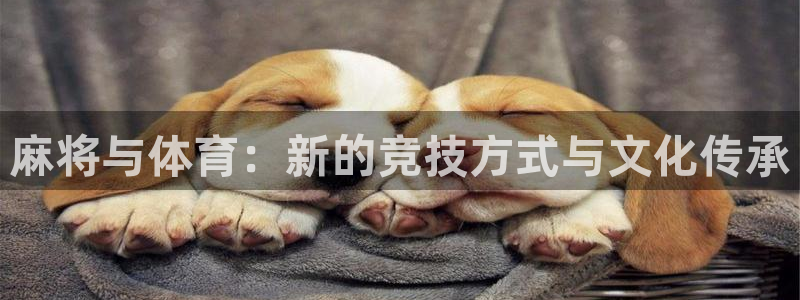 oety欧亿：麻将与体育：新的竞技方式与文化传承