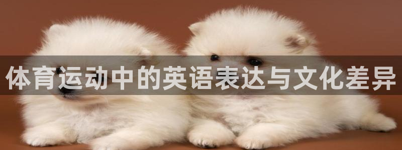 oety欧亿：体育运动中的英语表达与文化差异