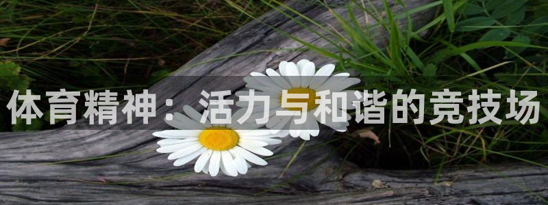 oety欧亿：体育精神：活力与和谐的竞技场