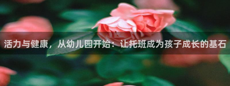 oety欧亿：活力与健康，从幼儿园开始：让托班成为孩子成长的基石